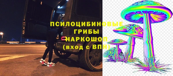 apvp Белокуриха