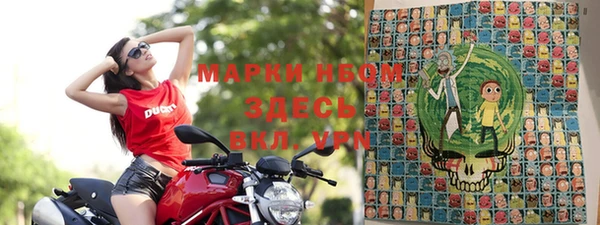 прущие грибы Богородск