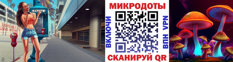 Псилоцибиновые грибы Psilocybe  Волчанск 